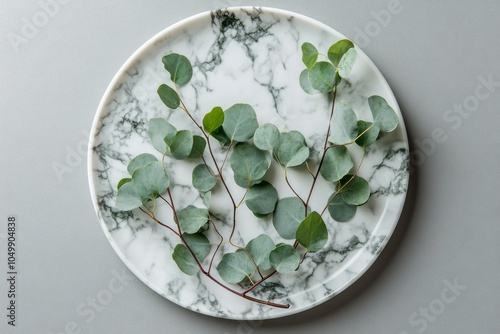 Eucalyptus leaves arranged on a marble plate in a minimalistic setting