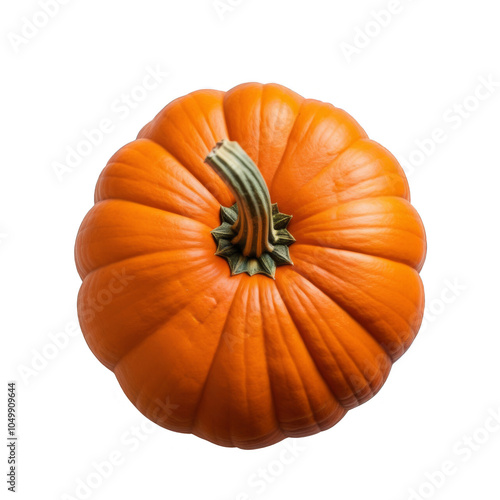Wallpaper Mural Top view of a single pumpkin, ideal for autumn or harvest visuals Torontodigital.ca