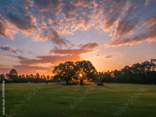 Sunset Over the Field photo