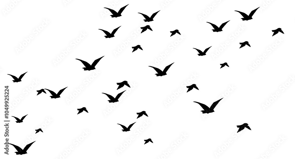 Fototapeta premium flock of birds flying. Black silhouette birds 