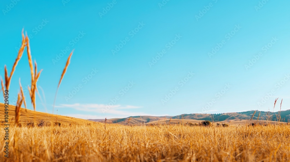 Fototapeta premium Serene Landscape Impacted by Climate Change