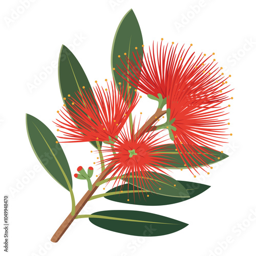 A flat design illustration of a pohutukawa blossom, with red flowers and green leaves.