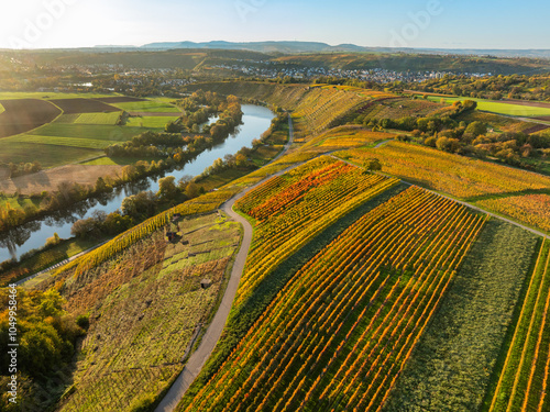 panoramic aerial view of the river loop in Autumn colors in the  Neckar Valley  with its famous steep vineyards next to Mundelsheim and Hessigheim in Baden-Wuerttemberg , Germany photo