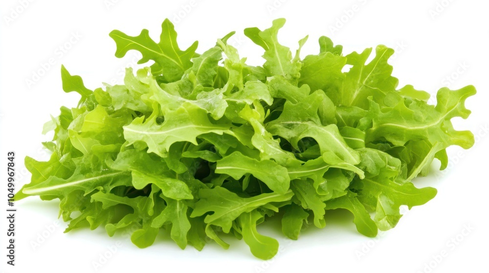 Obraz premium A pile of fresh, vibrant green leafy lettuce.