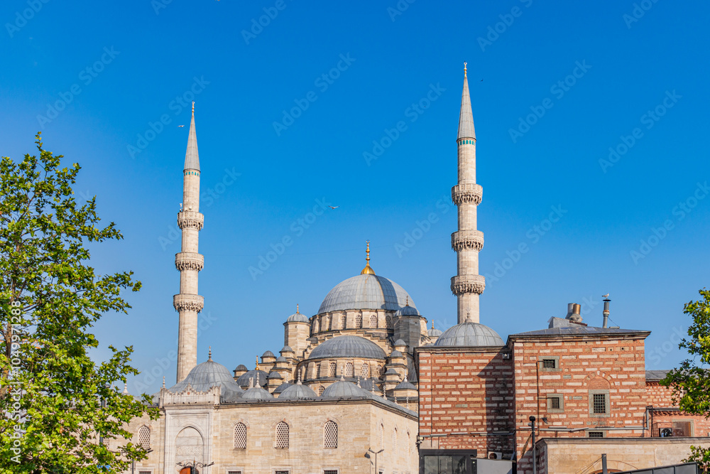 Fototapeta premium The New Mosque in Eminönü, Istanbul, the main entrance gate of the complex.