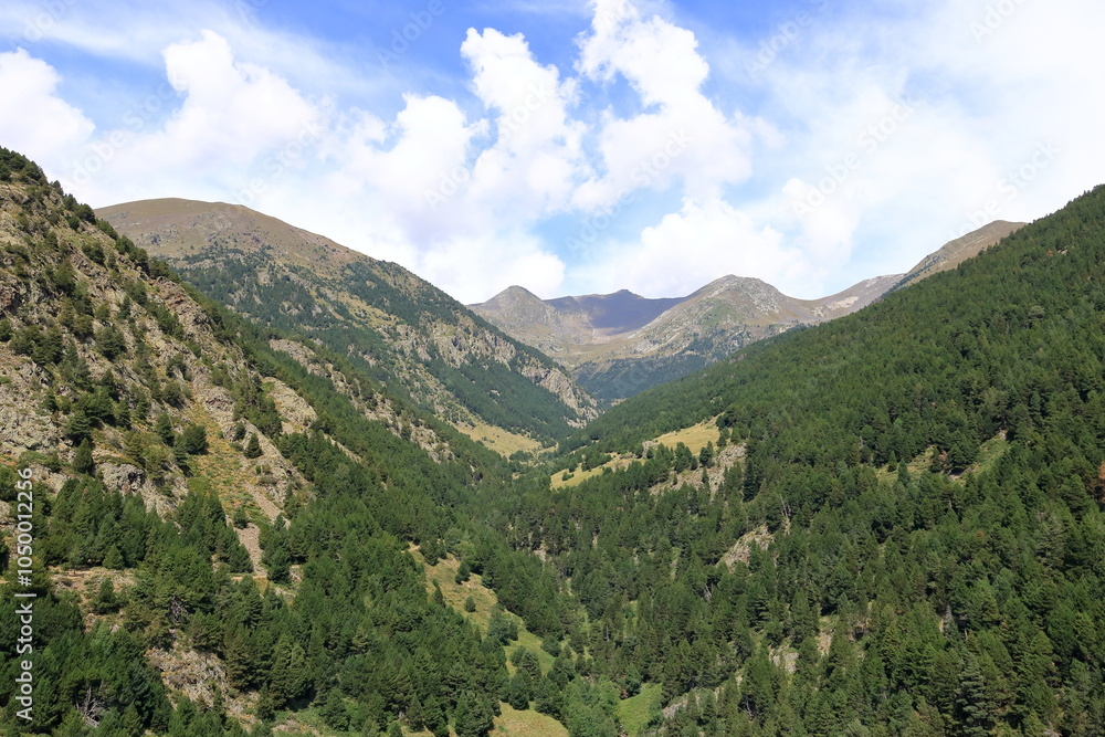 Fototapeta premium Andorra mountain landscape in Canillo in summer