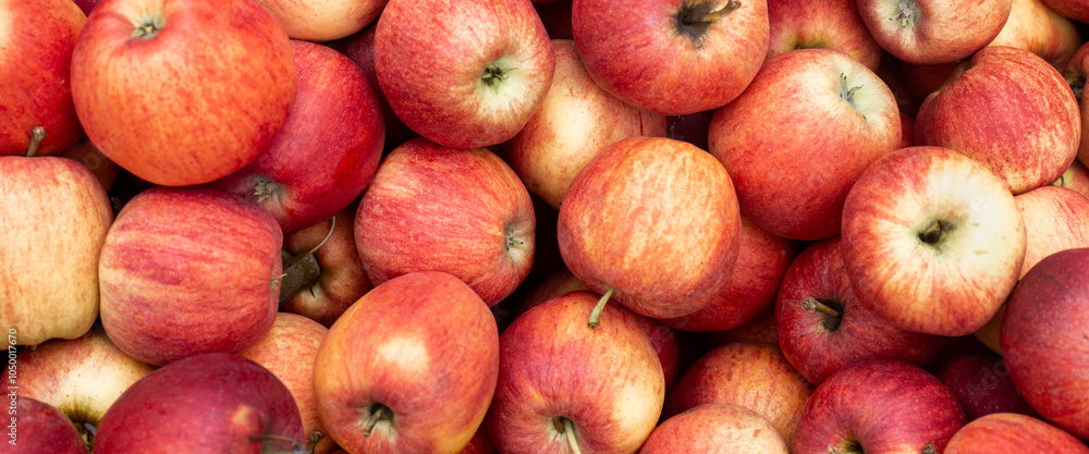 Background with fresh red apples. Top view, flat lay. Banner Background with fresh red apples. Top view, flat lay. Banner