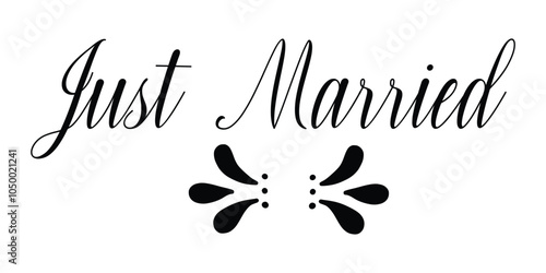 JUST MARRIED hand drawn lettering words vector icon. vector illustration.