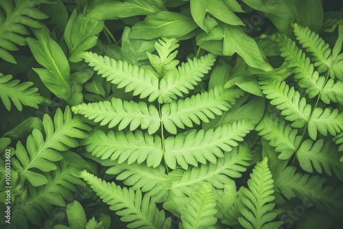 close - up of green leaf texture on blank white backdrop. Beautiful simple AI generated image