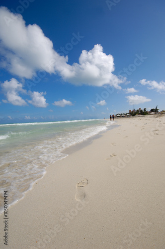 Costline at tropical beach