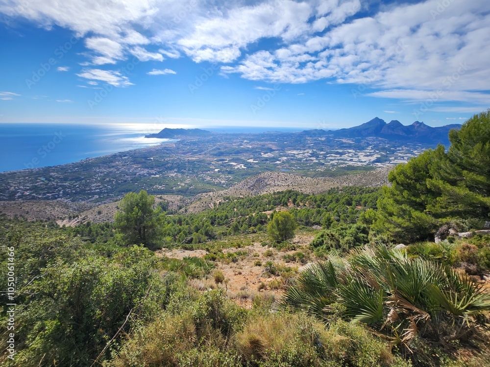 Fototapeta premium landscape with sky and clouds