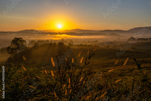 Sunrise over misty hills with mountains in the background i z trawami na piewrszym planie photo