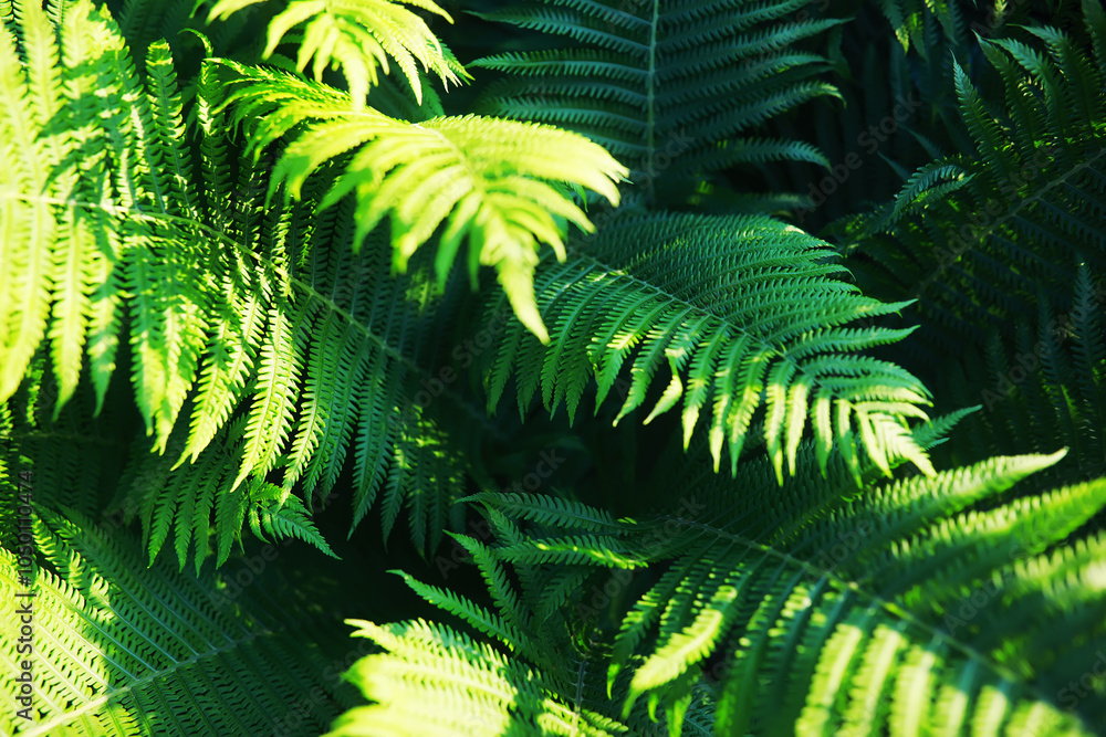 Fototapeta premium Green Leaves.Nature background. The natural background in the park, with blurred winds, fresh air and coolness.