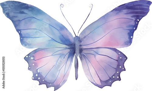 butterfly on white background