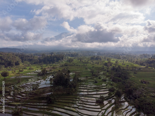 Aerial view of terraced rice fields under a cloudy sky. photo