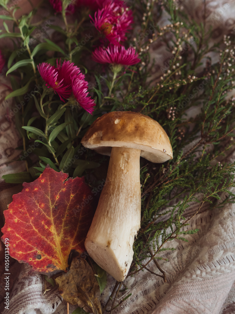 Fototapeta premium Autumnal Flat Lay with Porcini Mushroom, Heather, Pink Aster, and Red Leaf on Patterned Fabric