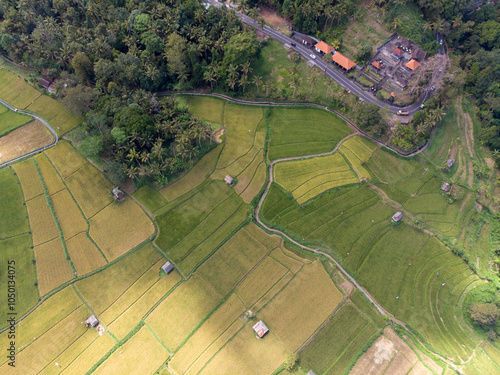 Aerial view of lush green rice paddies and surrounding landscape. photo