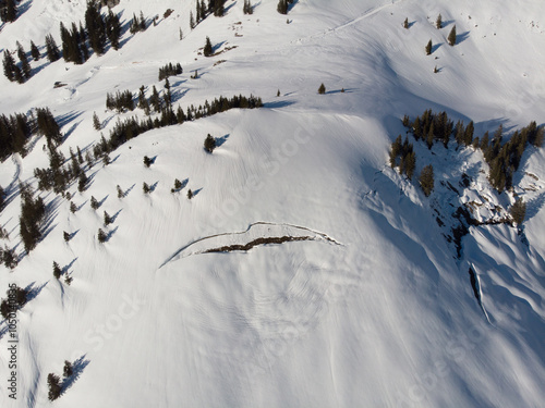 Фотография Aerial view of a snowy mountain landscape with scattered evergreen trees