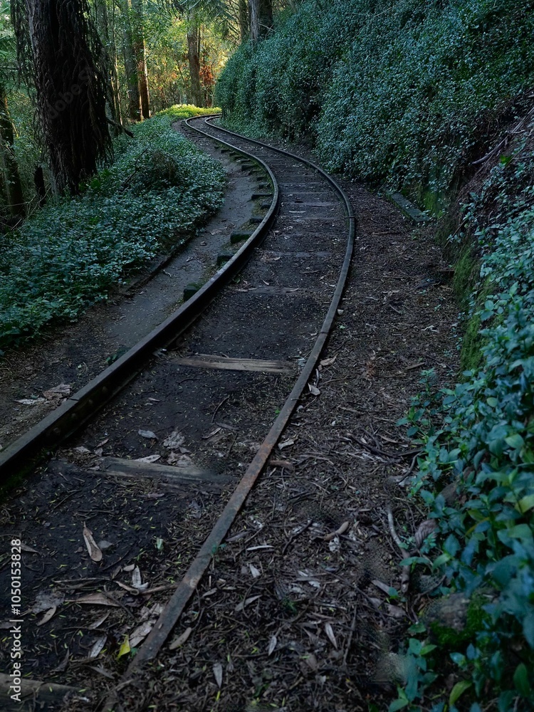 Obraz premium Serene forest railway path