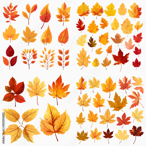 collection of yellow leaves with some of them being maple