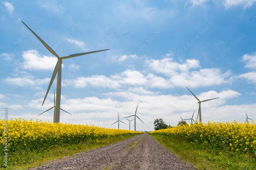 Wind park in the landscape of rapeseed fields. Bio fuel and green energy concept.
