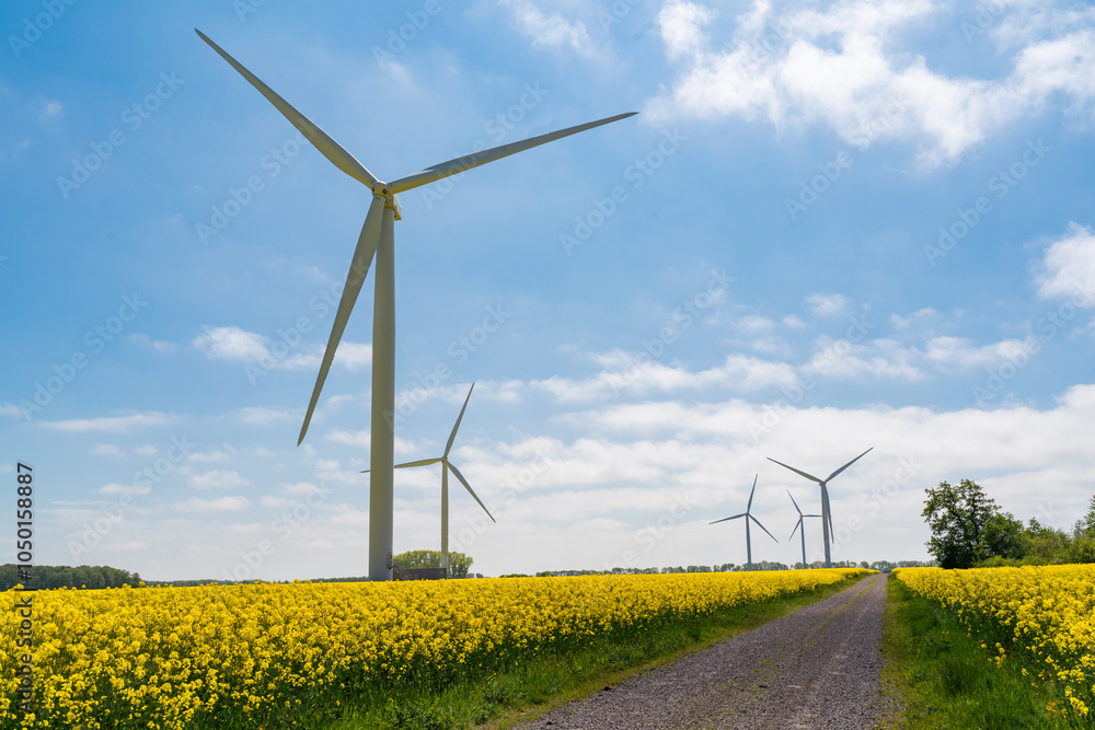 Wind park in the landscape of rapeseed fields. Bio fuel and green energy concept. Wind park in the landscape of rapeseed fields. Bio fuel and green energy concept.