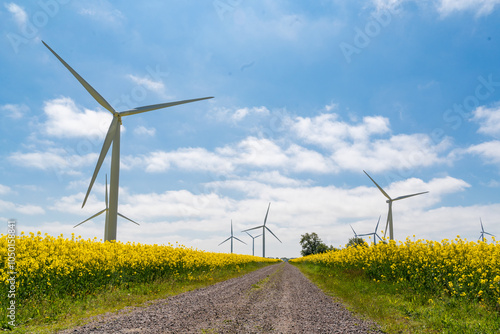 Obraz na płótnie Wind park in the landscape of rapeseed fields. Bio fuel and green energy concept. w salonie