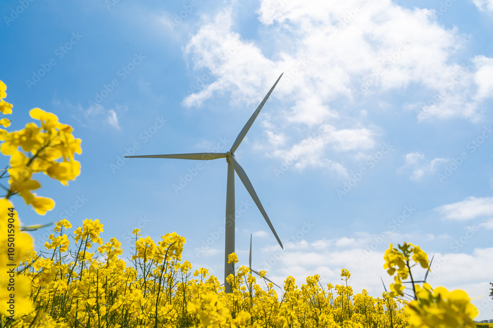 Wind park in the landscape of rapeseed fields. Bio fuel and green energy concept.