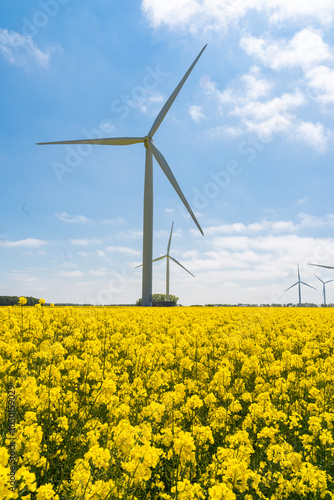 Wind park in the landscape of rapeseed fields. Bio fuel and green energy concept.