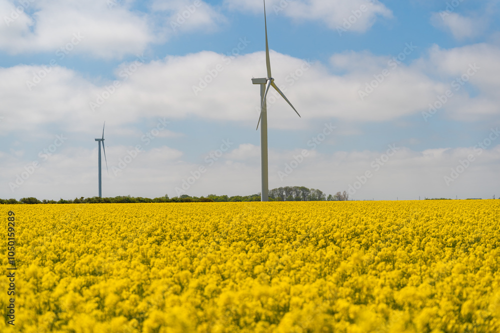 Wind park in the landscape of rapeseed fields. Bio fuel and green energy concept. Wind park in the landscape of rapeseed fields. Bio fuel and green energy concept.