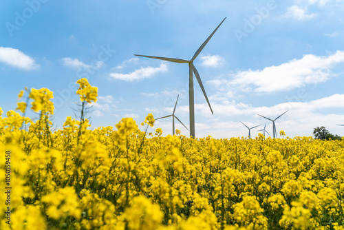 Obraz na płótnie Wind park in the landscape of rapeseed fields. Bio fuel and green energy concept. w salonie