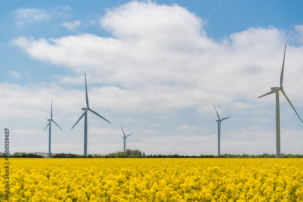 Wind park in the landscape of rapeseed fields. Bio fuel and green energy concept. Wind park in the landscape of rapeseed fields. Bio fuel and green energy concept.