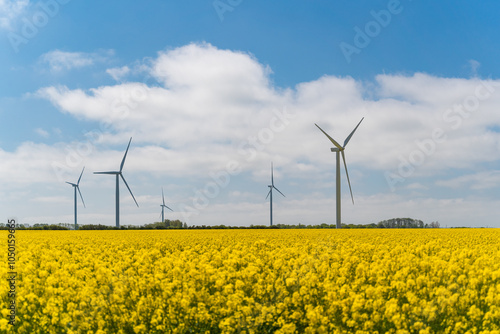Obraz na płótnie Wind park in the landscape of rapeseed fields. Bio fuel and green energy concept. w salonie