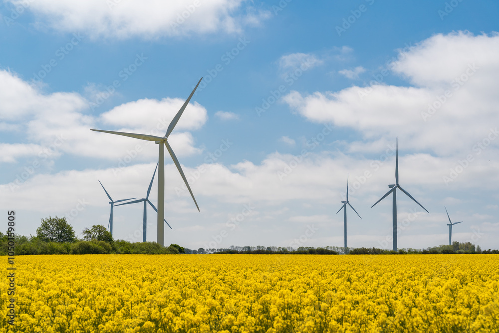 Wind park in the landscape of rapeseed fields. Bio fuel and green energy concept. Wind park in the landscape of rapeseed fields. Bio fuel and green energy concept.