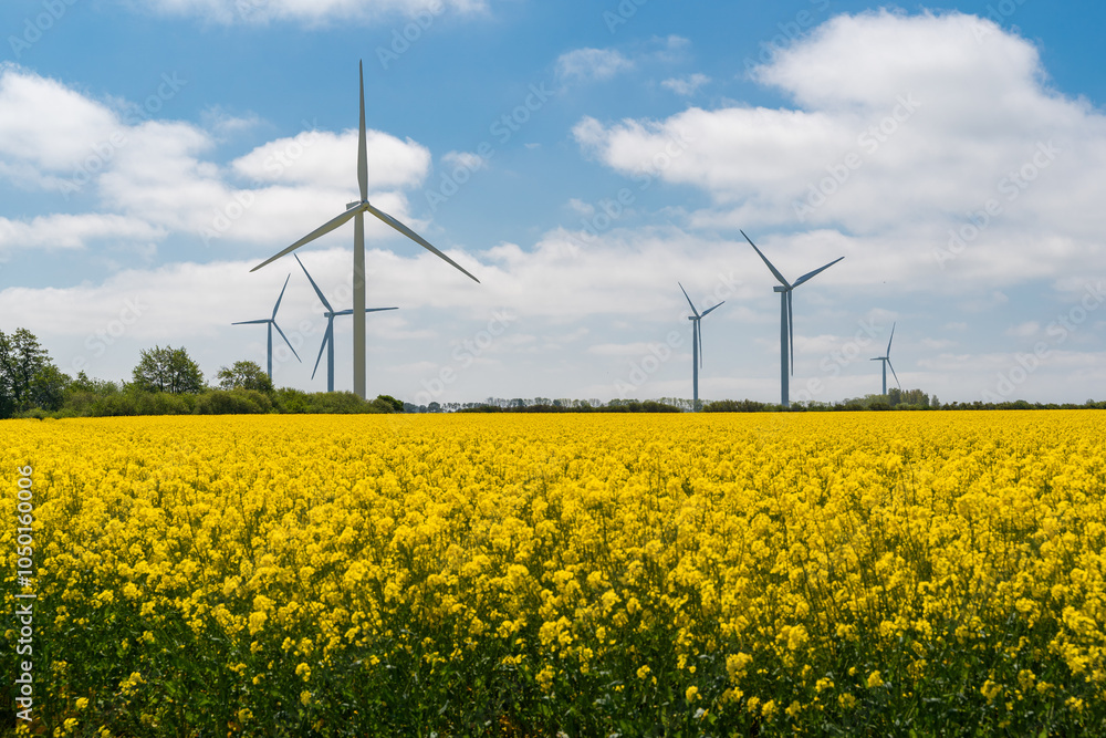 Wind park in the landscape of rapeseed fields. Bio fuel and green energy concept.