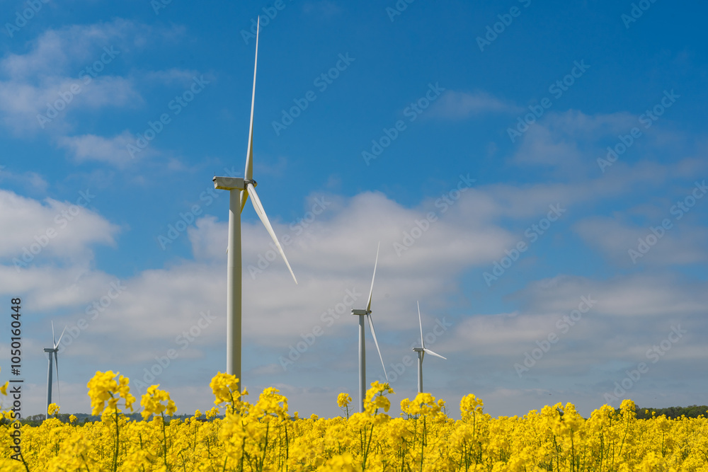 Wind park in the landscape of rapeseed fields. Bio fuel and green energy concept.