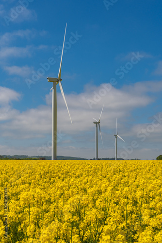 Obraz na płótnie Wind park in the landscape of rapeseed fields. Bio fuel and green energy concept. w salonie