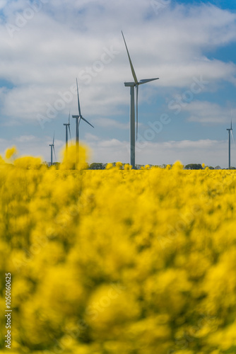 Wind park in the landscape of rapeseed fields. Bio fuel and green energy concept.