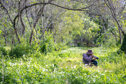 Photographer is taking photo while exploring woodland forest with wild flower meadow for surveying and locating rare biological diversity and ecologist on field study photo