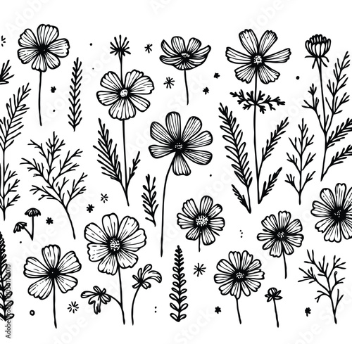 Adobe Illustrator Artwork
outline black and white line art, lineart, doodle flower. set of contour floral of cosmos, Chamomile, daisies, grasses, stems, herbs, leaves decorative elements