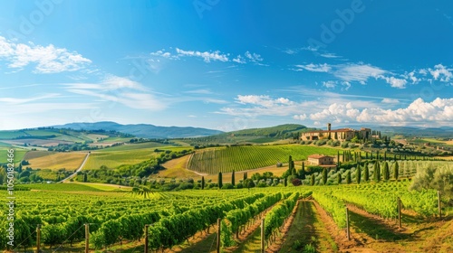 Wallpaper Mural A breathtaking view of the lush vineyards of Tuscany with rolling hills and quaint farmhouses under a clear blue sky, pastoral setting with warm, earthy tones Torontodigital.ca