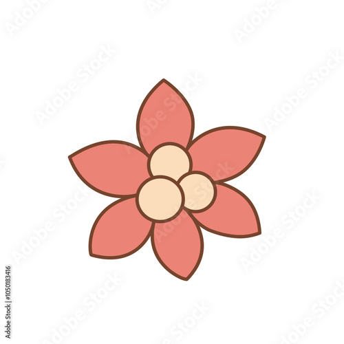 Traditional Christmas flower, Red poinsettia vector illustration