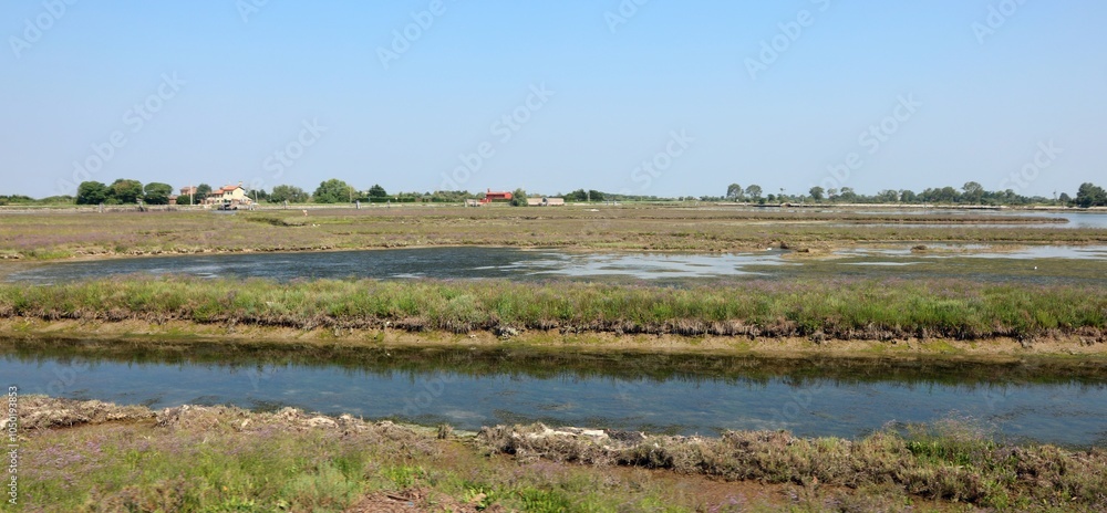 Fototapeta premium venetian lagoon near the island of venice in the italian locality called lio piccolo and MESOLE