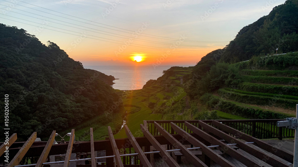 Fototapeta premium 佐賀県、浜野浦の棚田
