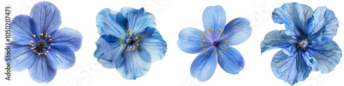 Collection of blue flowers isolated on transparent or white background