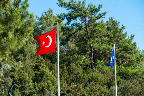 Turkish Flag and Blue Sea Flag with Tree Views photo