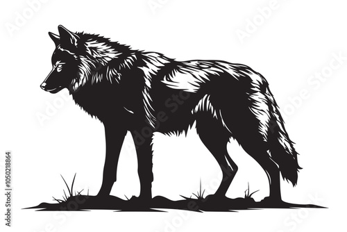 Wolf engraving, black silhouette of a wolf. Isolated outline drawing of a wild animal. Animal wild life vintage design element. Black and white vector illustration.