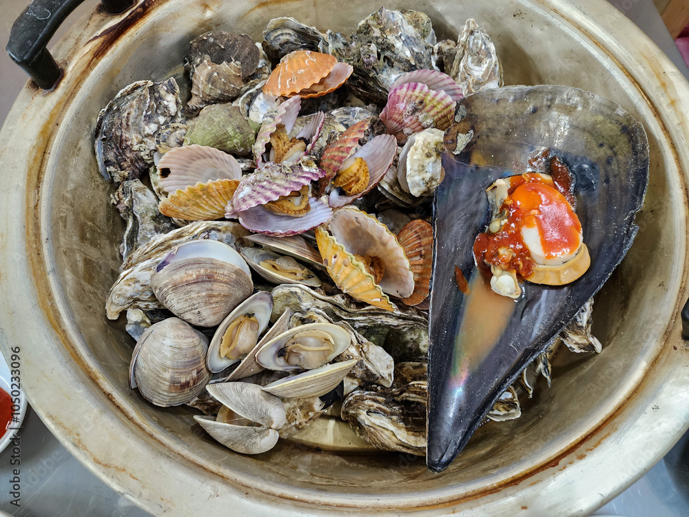 Korean Seafood Food. Steamed oysters and clams Korean Seafood Food. Steamed oysters and clams