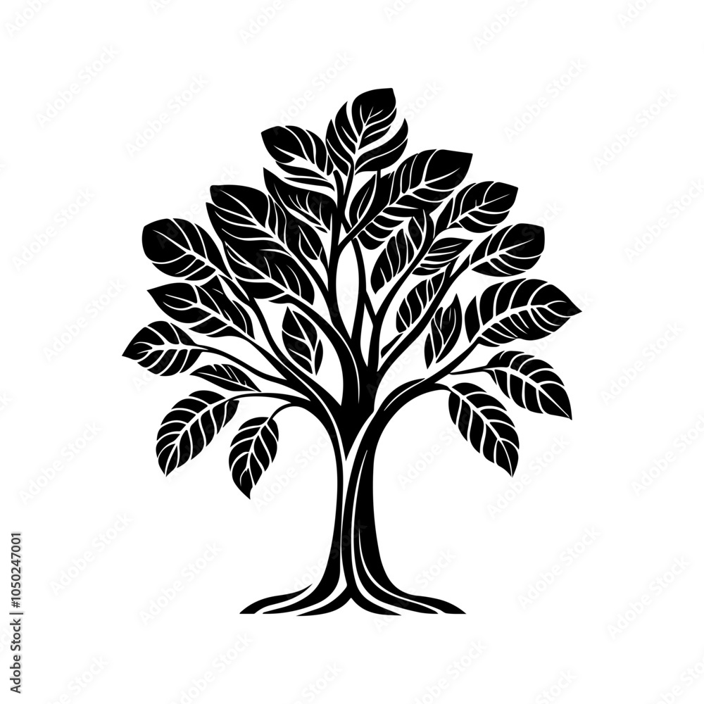 Obraz premium Full Canopy Tree 