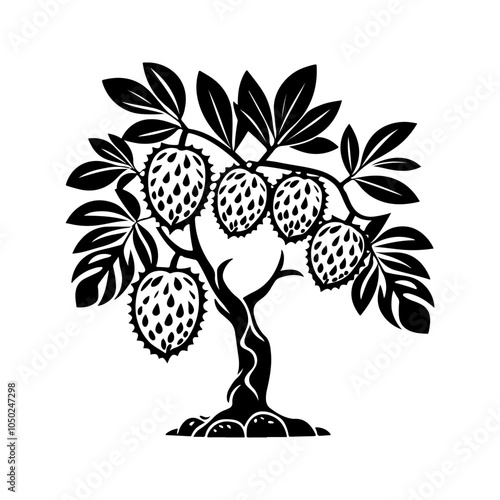 Soursop Tree